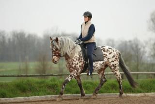Biete RB in 74582 Gerabronn