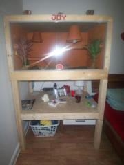 Bartagame mit Trrarium und Gestell