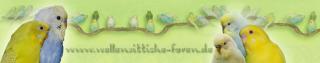 Hallo liebe Wellensittich-Freunde