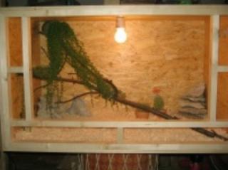 Holzterrarium 100x50x50