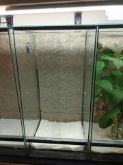 Terrarien