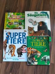 Kinderfreundliche Tierbücher