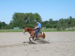 Westernreiten Unterricht-Training-Beritt