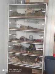 2 Degus zu verkaufen, mit und ohne Käfig