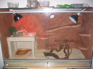 Terrarium 3 leos