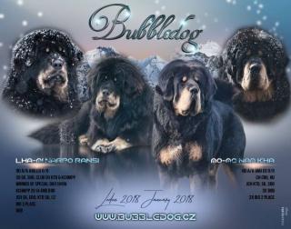 Tibetmastiff, Tibetdogge, Do-Khyi