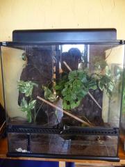 Exo-Terra Terrarium Ansehen lohnt