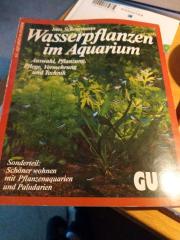 Wasserpflanzen im Aquarium GU Ines Scheurmann