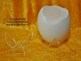 Schlupfschalen von strauss