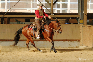 Westerntraining Beritt