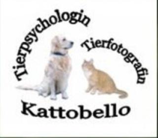 Kattobello Tierpsychologe Hundeschule Tierfotograf Onlineshop