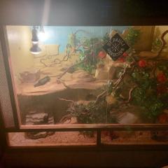 Verkaufe Terrarium 120x80x80cm mit zubehör