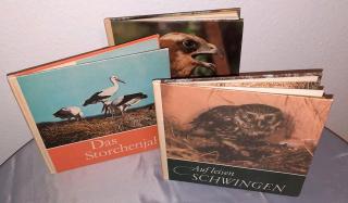 Tierbücher Kinderbücher Storch Eule Greifvögel Natur Storchenjahr