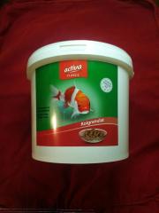 Koi Futter Koipellets Fischfutter