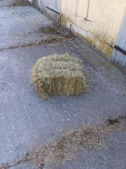 Heu HD Bündel Kuh Ziege Schaf Pferd Hase
