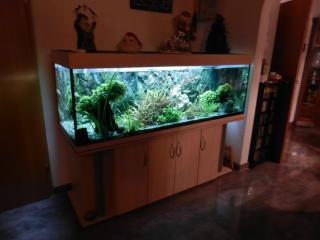 Aquarium 180/60/60 cm inkl. kpl. Zubehör Eheim Prof. 3, UV-Klärer, neuem Kies,