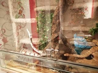 Terrarium 120x120x80
