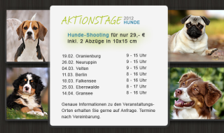 Hunde-Foto-Aktions-Tage 2021 - Hundefotos für nur 29, - Euro - 11. 03. Berlin