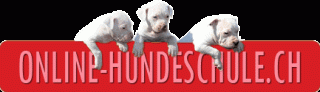 Sachkundenachweis SKN Online Theoriekurs