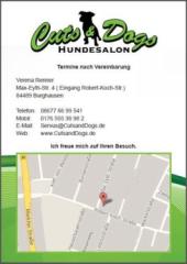 Neuer Hundesaloon