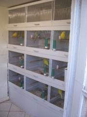 Kunststoffzuchtschrank neuwertig