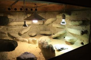 Terarium 1mX1mX0, 62m