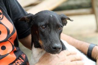 David - ein lebenslustiger, temperamentvoller Kerl. Aus Thailand