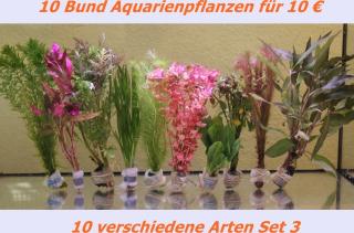 10 Bund Aquariumpflanzen/ Wasserpflanzen 10 Euro Set 3