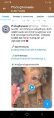 Wem dürfen wir treu zur Seite stehen