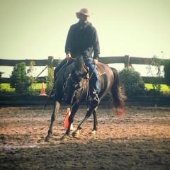 Westernreiten auf lieben Pferden
