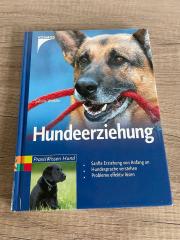 Hundeerziehung