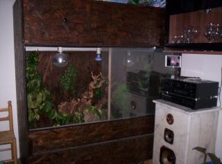 Terrarium 150x150x50