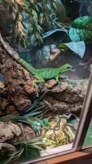 Wasseragame zu verkaufen. 50 Euro