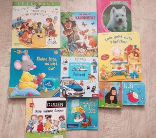 NUR 4 Euro Set Bücher Kinderbücher Tierbuch Ministeps Klappenbuch
