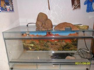 Terrarium Komplett 80 cm Lang mit Ausstattung. Wie Neu