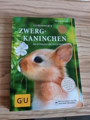 Zwergkaninchen
