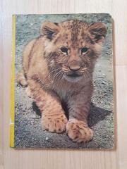 Mein erstes Tierbuch, Löwe Verlag