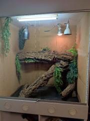 Großes Terrarium Holz mit Glasschiebetüren abschließbar 200x100x140 cm
