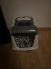 Katzen Toilette