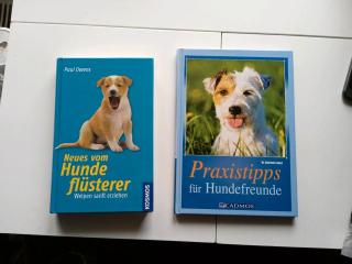 Buch Hundeerziehung Welpe Erziehung Ratgeber