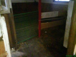 Biete Pony Box an