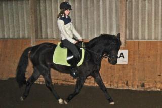 Verkaufe mein Pony 7j 1, 47 dringend