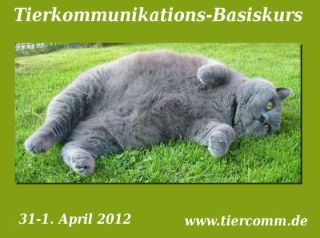 Kurs Tierkommunikation Bremen 31. 03. - 01. 04. 2021