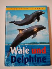 Buch Faszination Tierwelt WALE und DELPHINE Kinderbuch Tierbuch