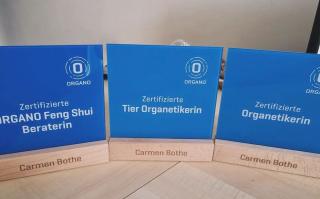 Tierkommunikation Organetik