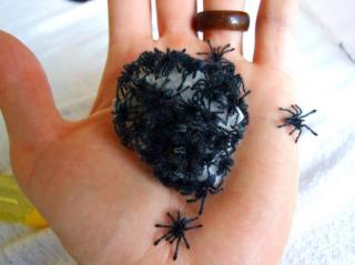 Avicularia versicolor Spiderlinge