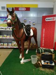 Pferdesattel, Western, Traber, Warmblut,